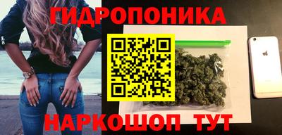 дурь Кингисепп